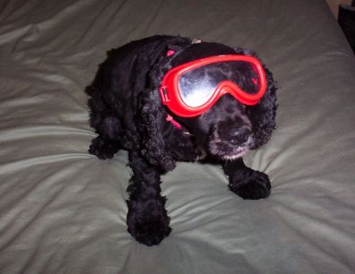 Joy In Her New Goggles