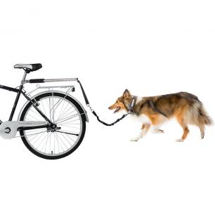 Dog Bicycle Attachment 2017-02-04